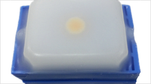 FFPE Cell Pellet